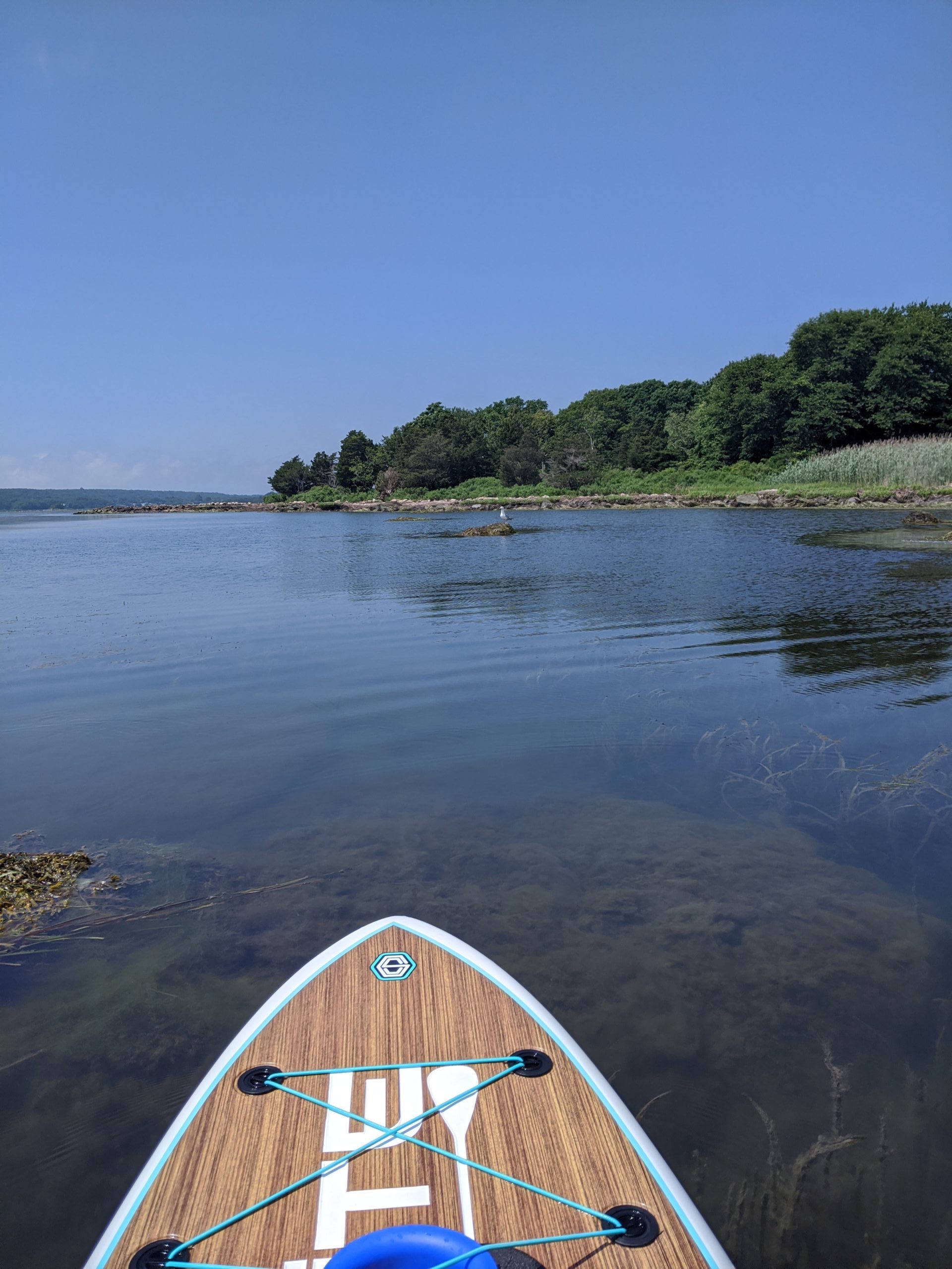 Is paddle boarding the ultimate balance and core strengthening activity